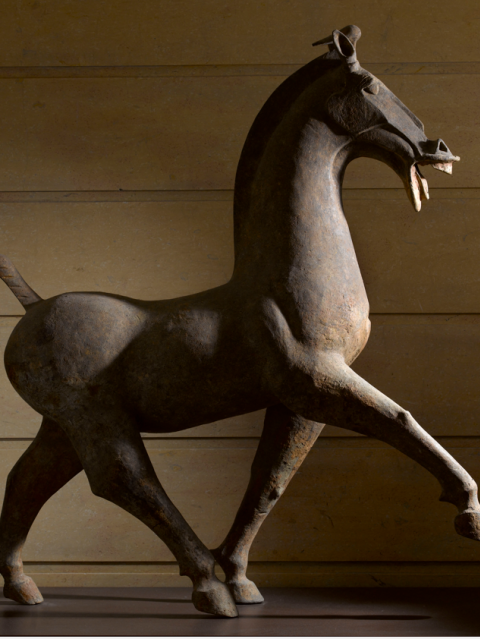 Cheval, entre 25 et 220