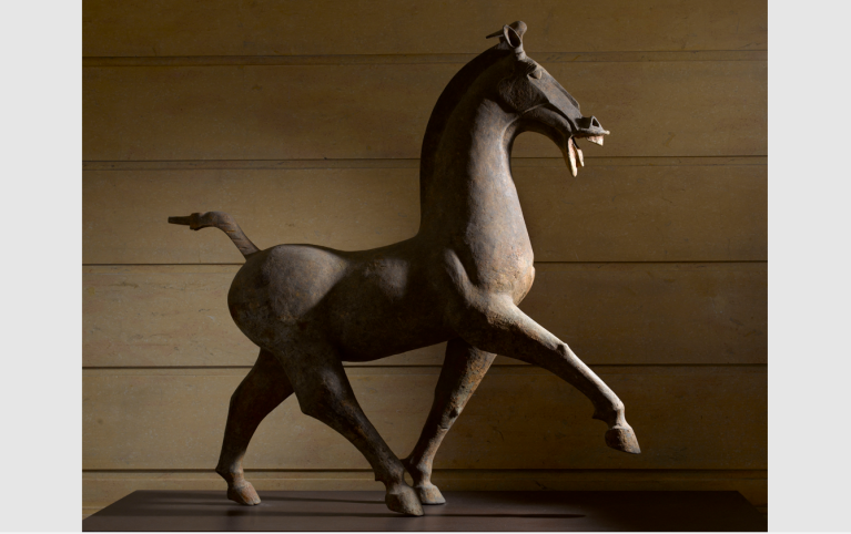 Cheval, entre 25 et 220