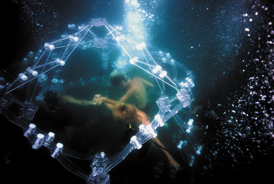 Jun Nguyen-Hatsushiba, Memorial Project Minamata : Neither Either nor Neither - A Love Story, 2002-2003